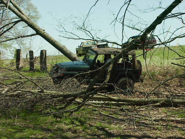 Winching Trees Out Of Lake