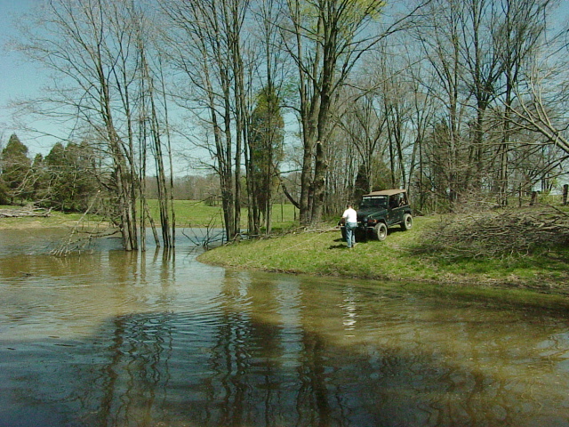 Winching Trees Out Of Lake