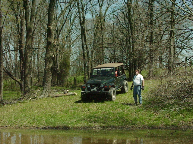 Winching Trees Out Of Lake