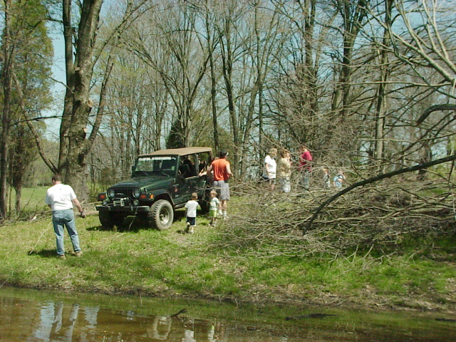 Winching Trees Out Of Lake